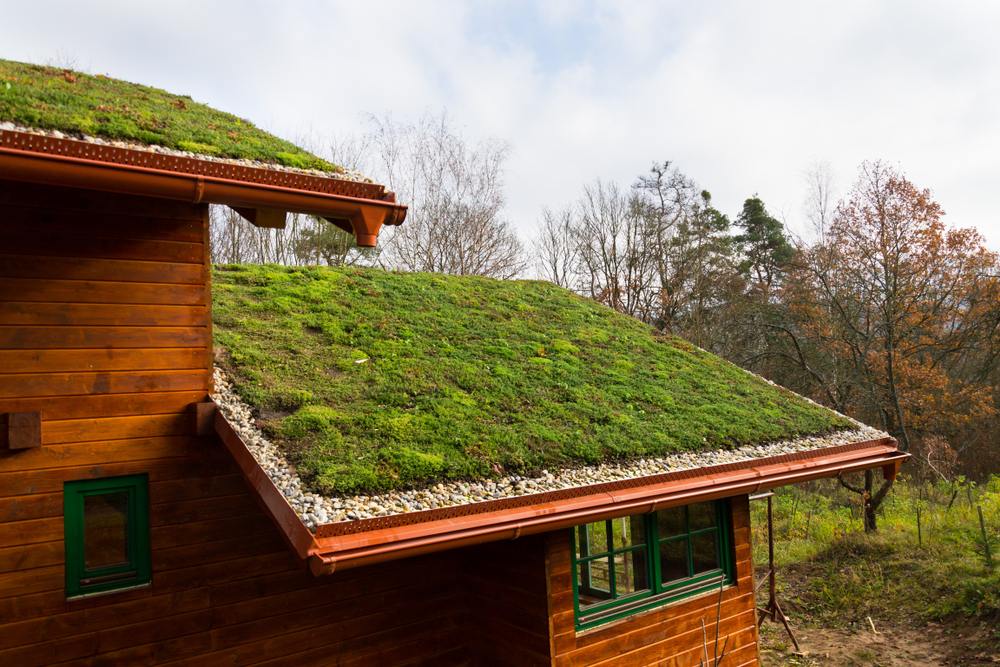 Miljöfördelar med grästak och deras påverkan på klimatet